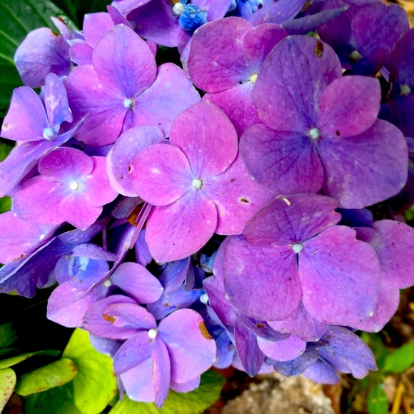 Meet your Posher, Whitney - Picture 6 of 13